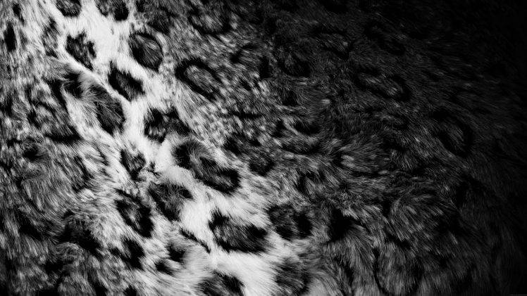 pattern, Furry, Leopard HD Wallpaper Desktop Background