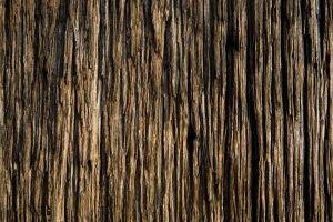 wood, Pattern, Texture