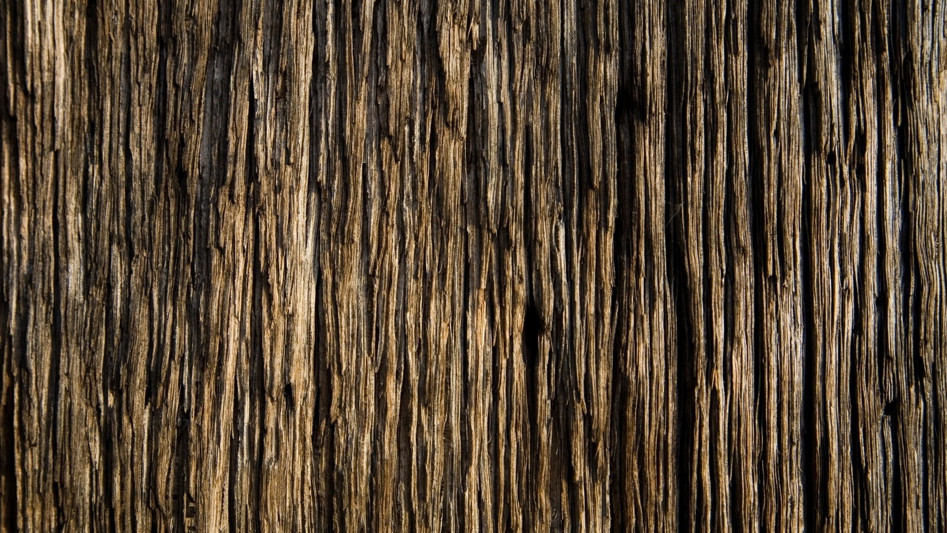 wood, Pattern, Texture Wallpaper
