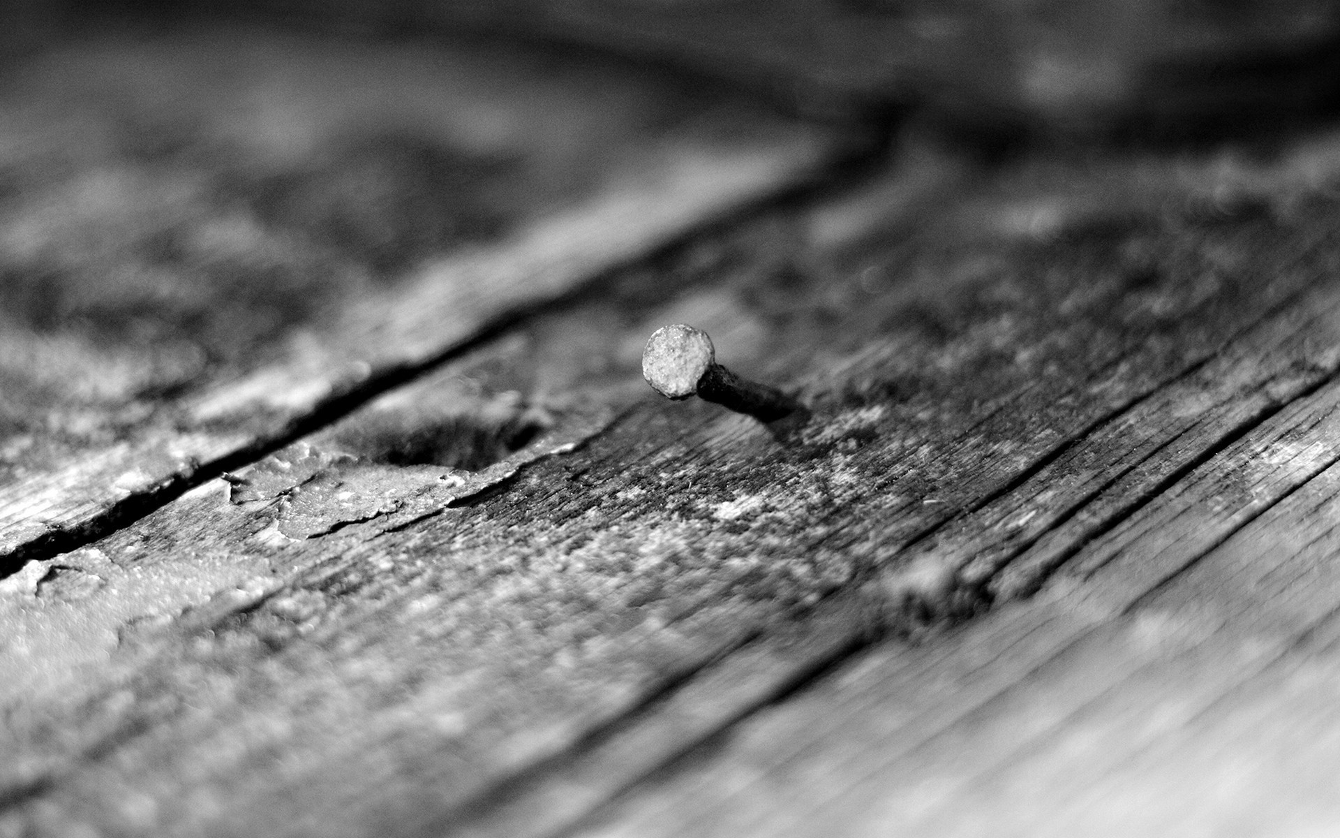 monochrome, Nails, Wood, Texture, Macro, Depth Of Field, Photography Wallpaper