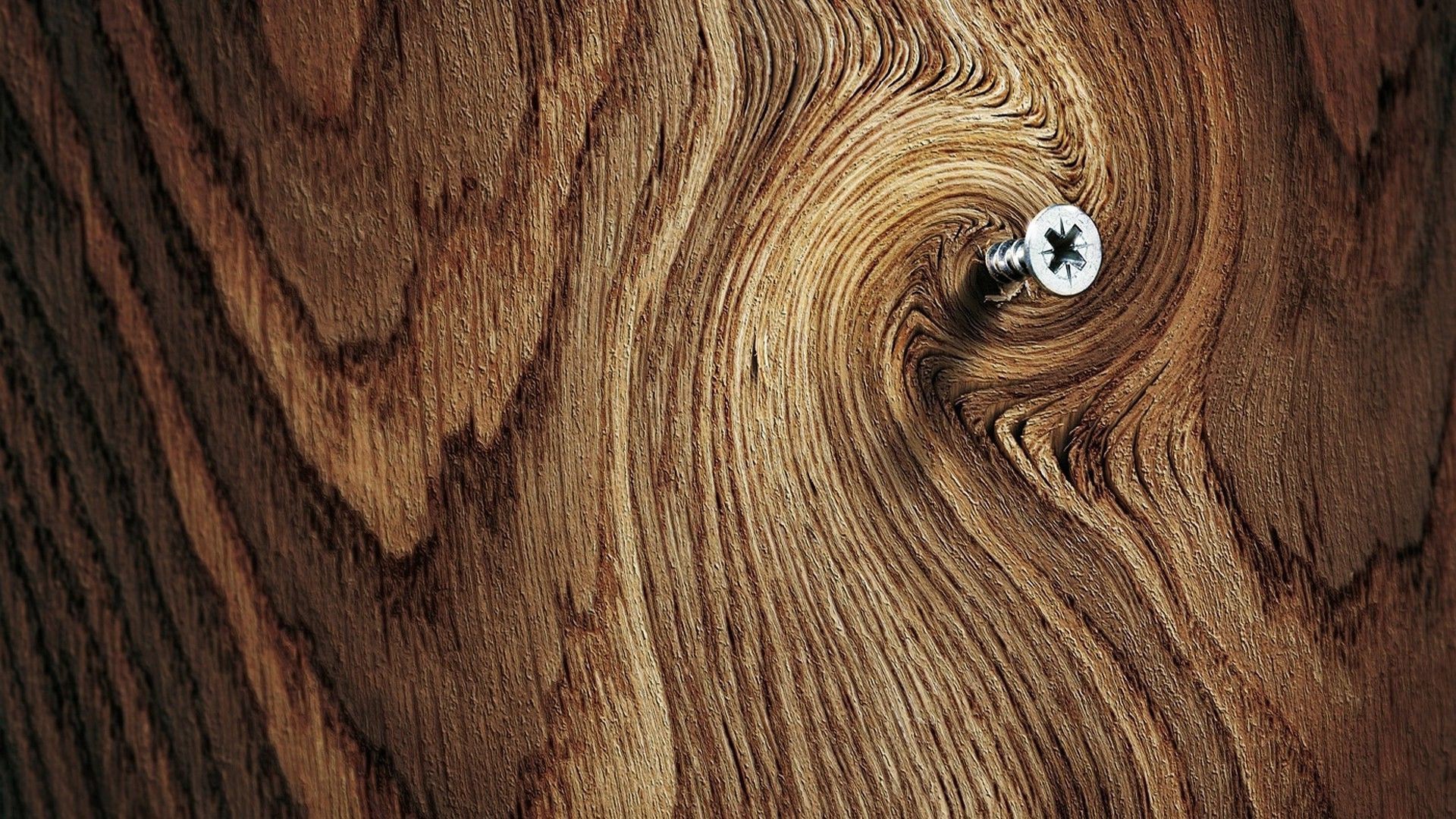 wood, Simple Background, Texture, Photography, Screw Wallpaper