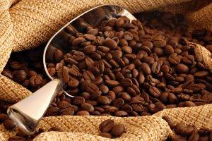coffee, Coffee Beans, Brown, Texture