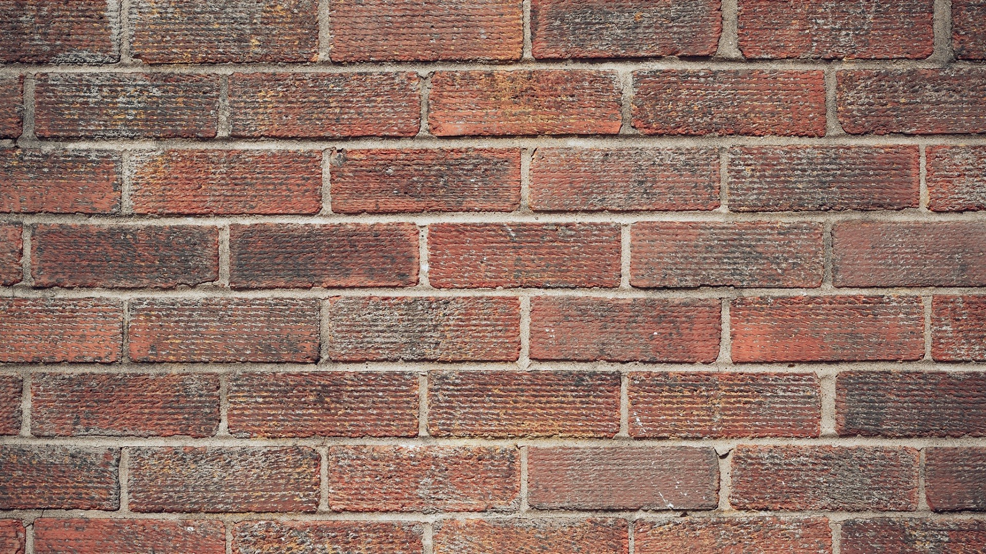 texture, Bricks, Walls Wallpaper