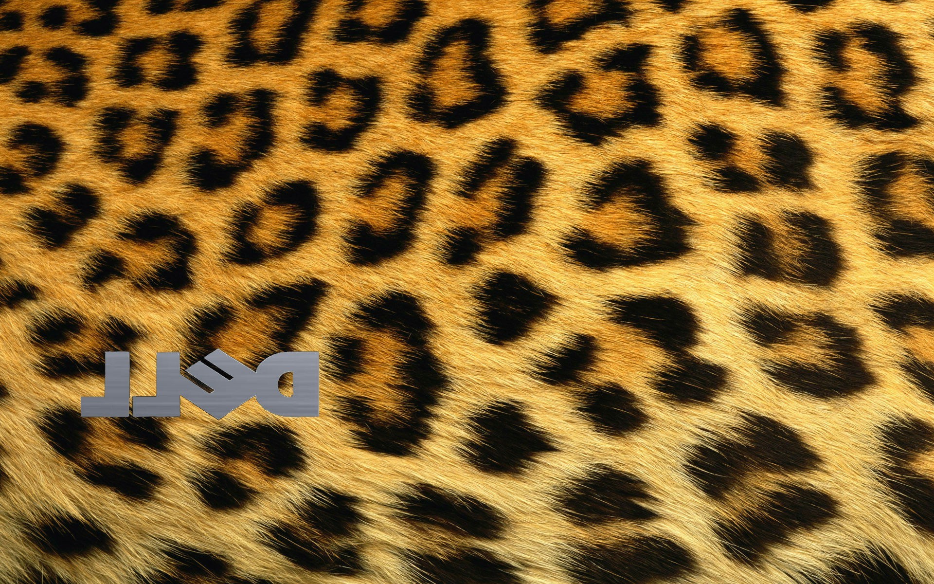 Dell, Cheetahs, Pattern, Logo Wallpaper