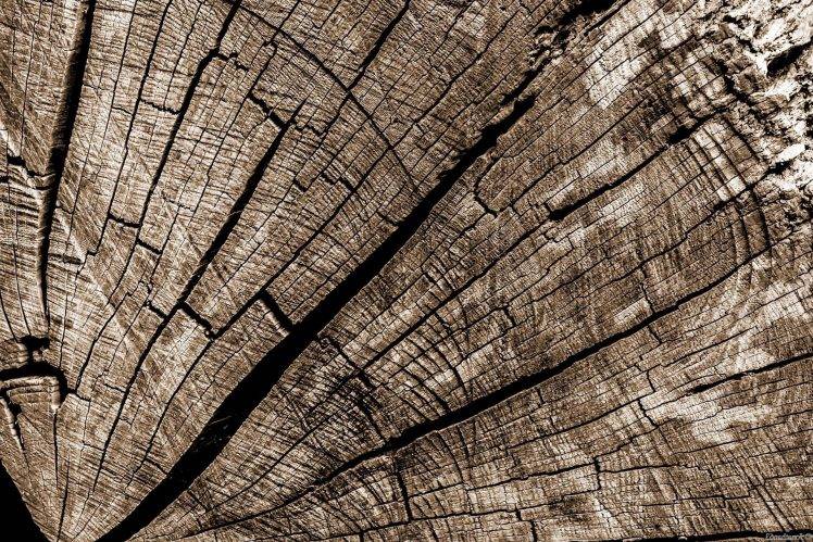 wood, Wooden Surface, Pattern, Brown, Cracked, Sepia HD Wallpaper Desktop Background
