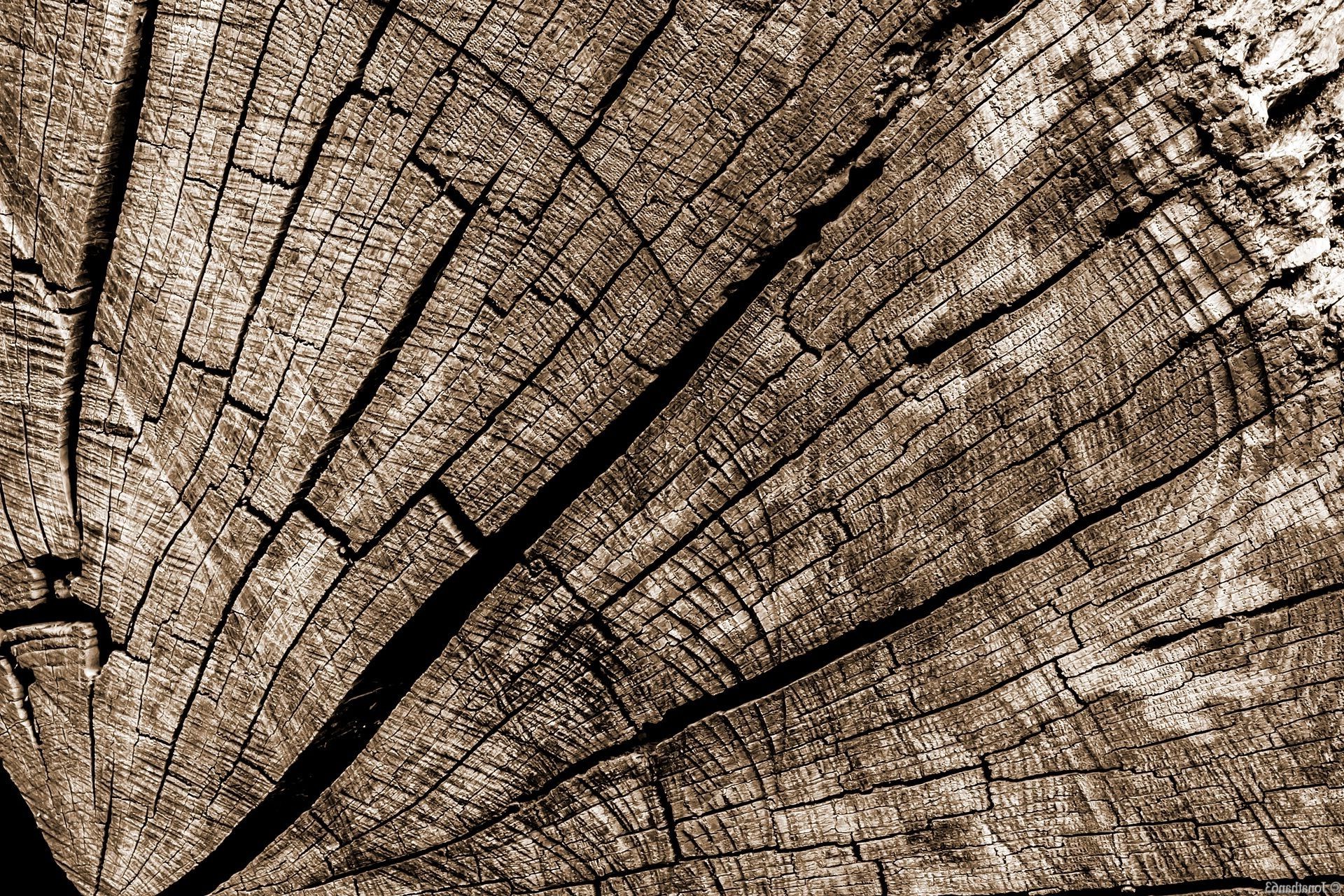 wood, Wooden Surface, Pattern, Brown, Cracked, Sepia Wallpaper