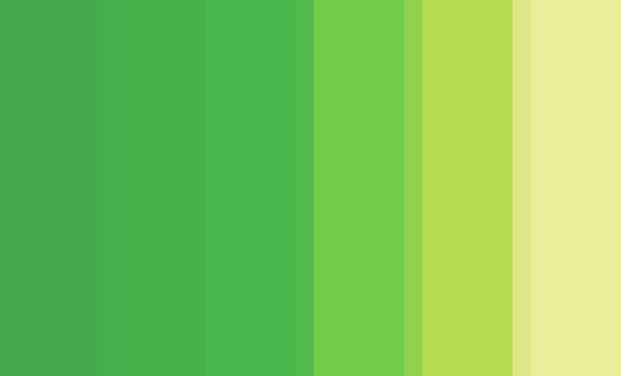 pattern Wallpaper