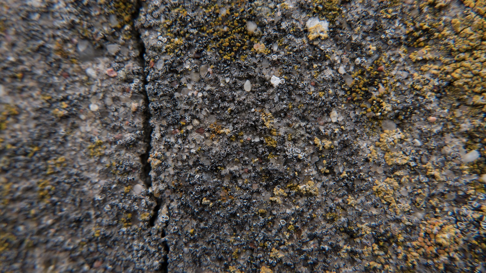 concrete, Moss, Split, Texture Wallpaper