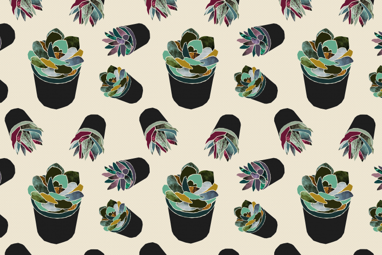 succulent, Plants, Pattern, Lights HD Wallpaper Desktop Background