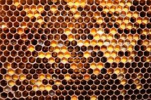 beehive Patterns