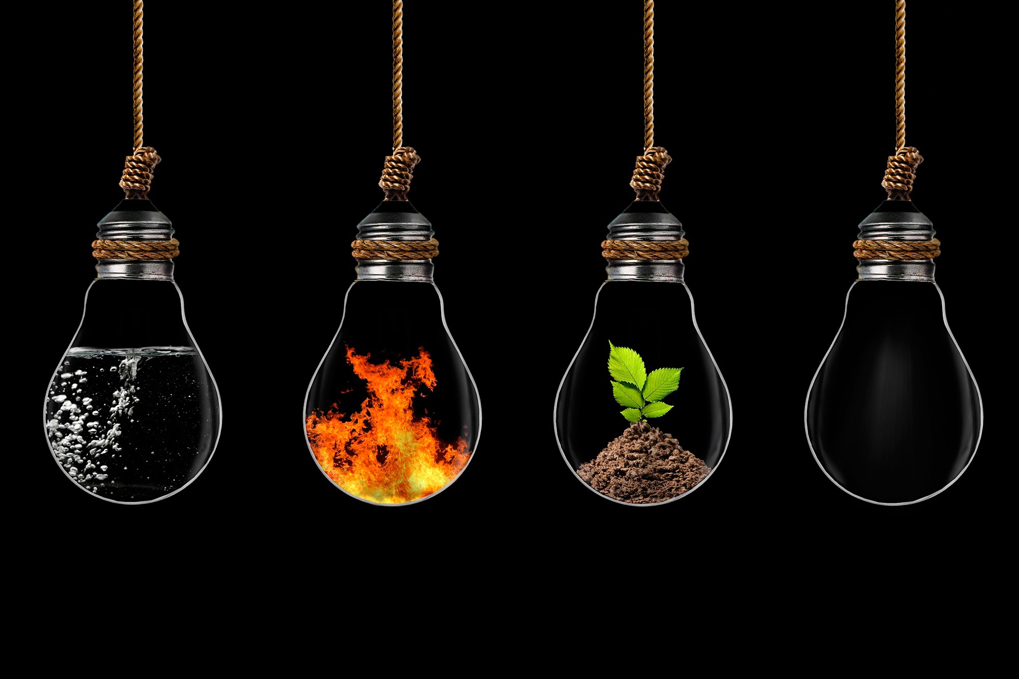 digital Art, Light Bulb, Ropes, Water, Fire, Plants, Ground, Black Background, Four Elements Wallpaper
