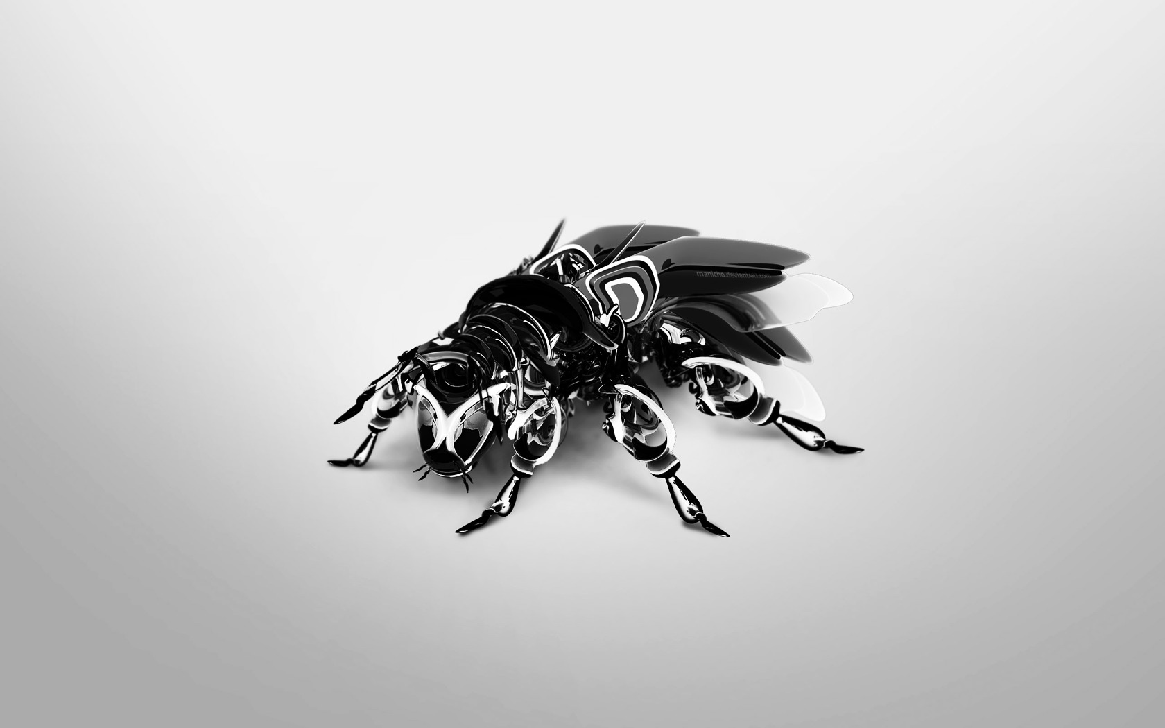 Fly, Digital Art Wallpaper