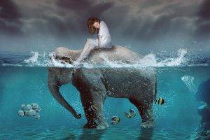 artwork, Digital Art, Elephants, Split View, Fish