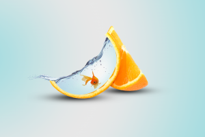 orange (fruit), Fish, Digital Art
