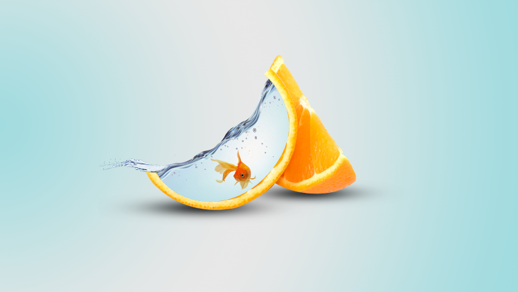 orange (fruit), Fish, Digital Art HD Wallpaper Desktop Background