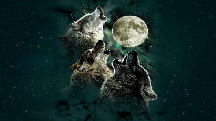 digital Art, Wolf, Moon HD Wallpaper Desktop Background