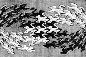 artwork, M. C. Escher, Monochrome, Psychedelic, Animals, Birds, Flying, 3D, Mobius Strip