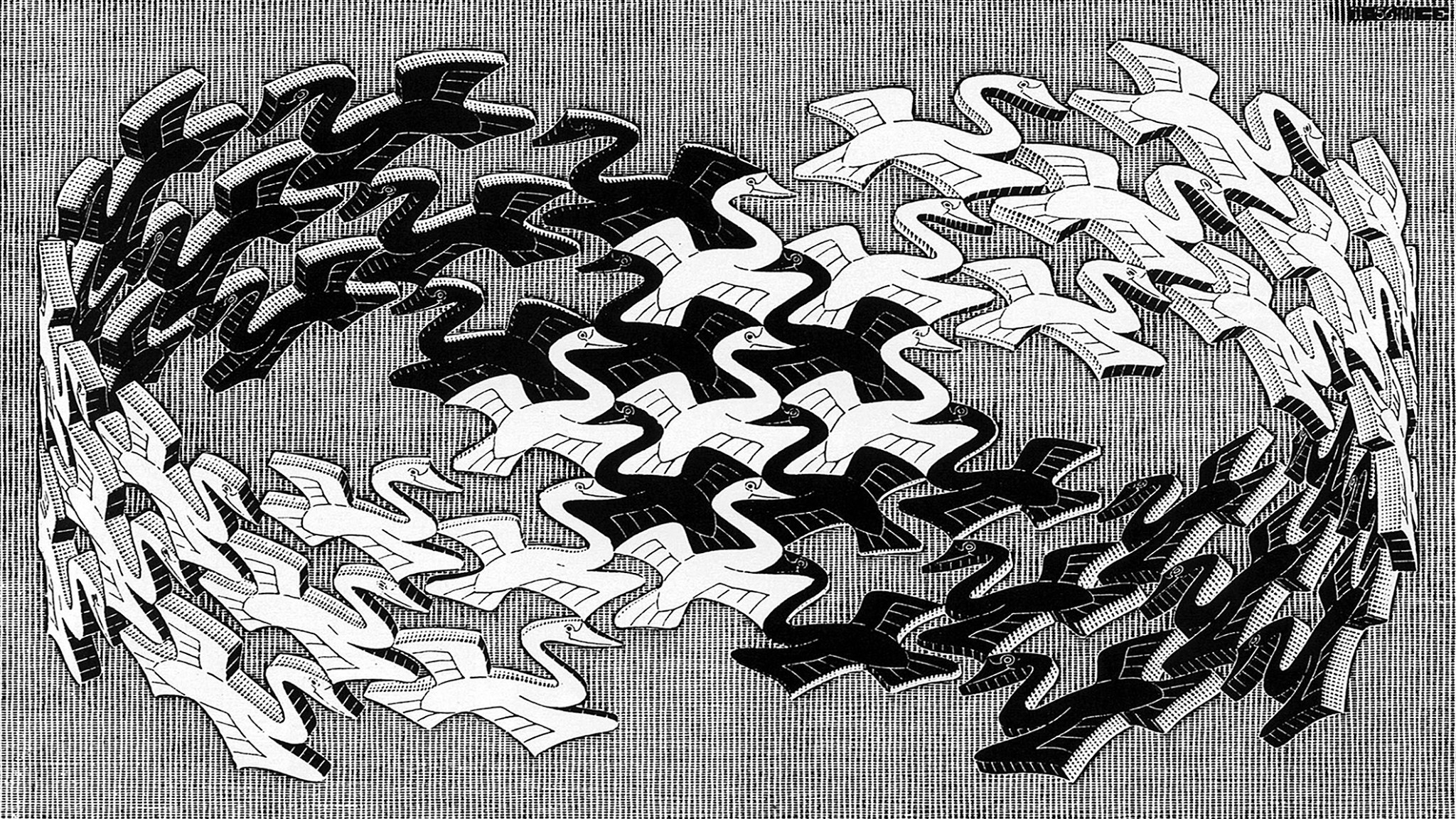 artwork, M. C. Escher, Monochrome, Psychedelic, Animals, Birds, Flying, 3D, Mobius Strip Wallpaper
