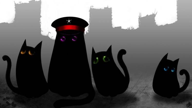 cat, Eyes, Gray, Black Cats, Animals, Romantically Apocalyptic HD Wallpaper Desktop Background