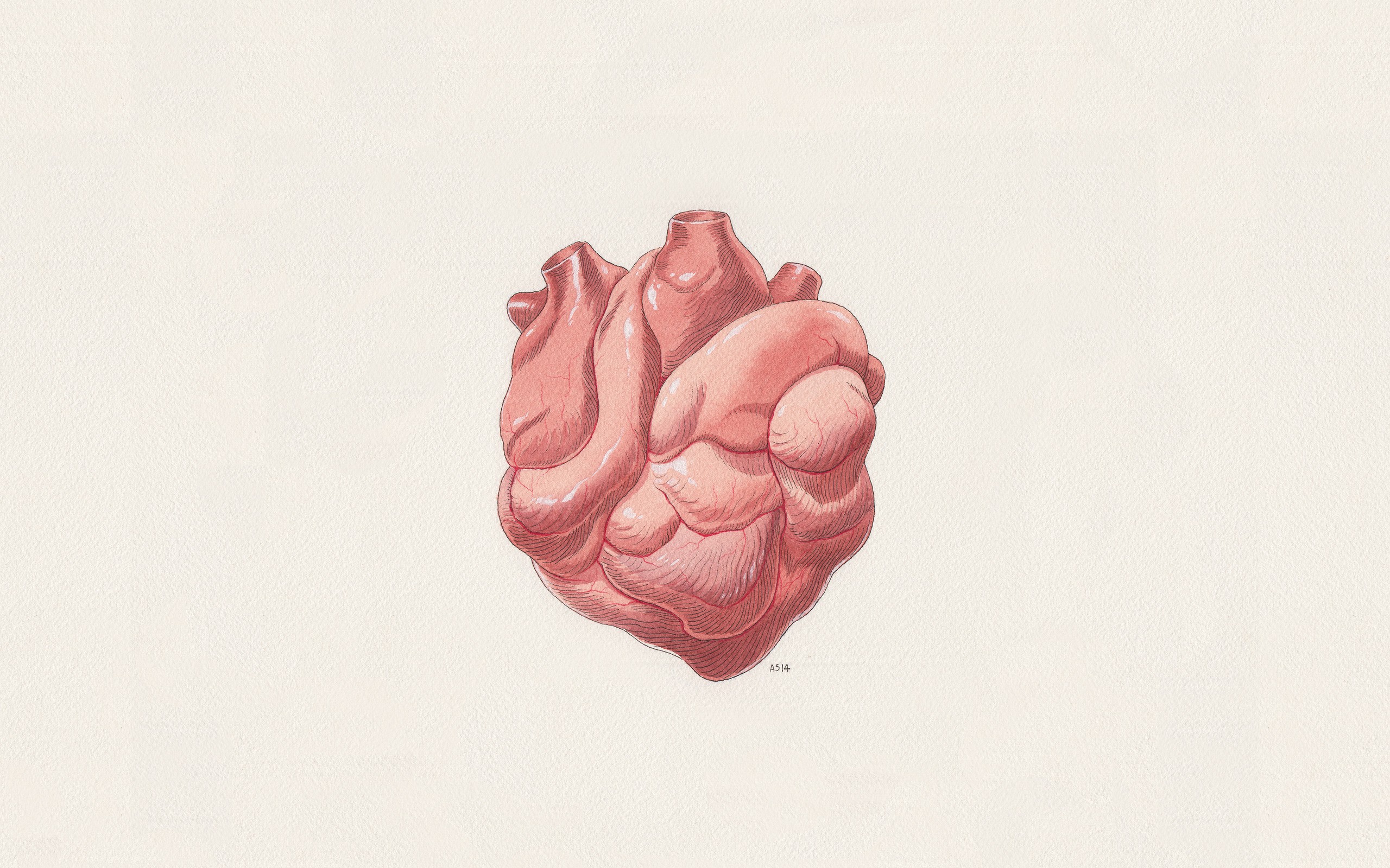 сердце арт heart art без смс