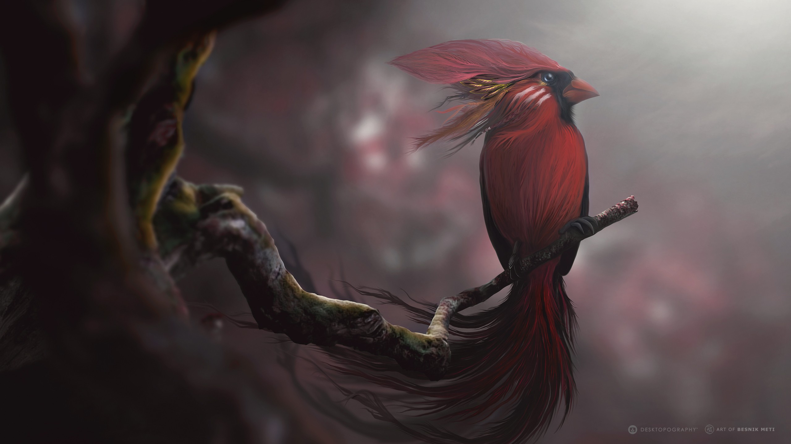 red, Birds, Digital Art Wallpaper