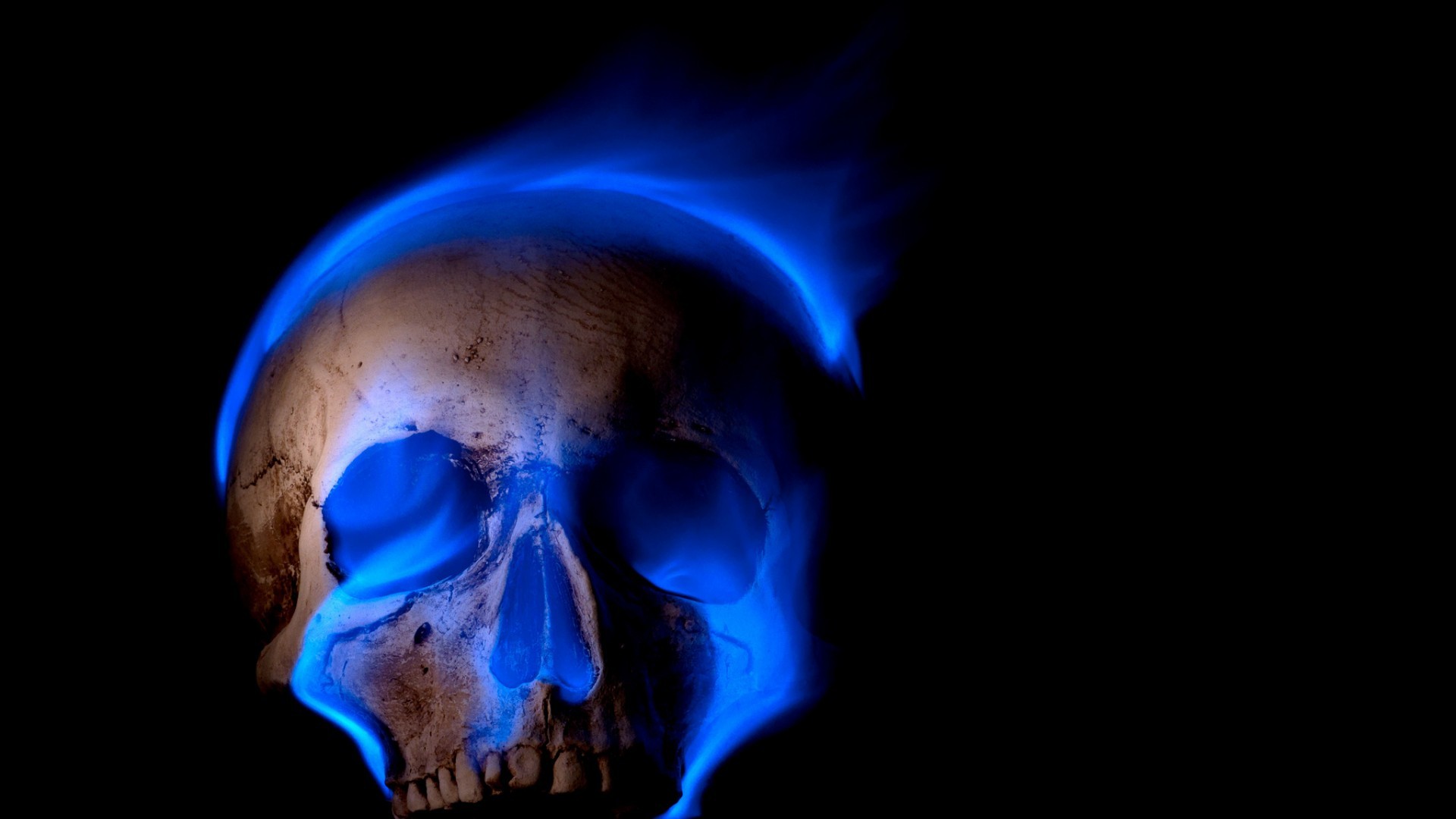 digital Art, Skull, Black Background, Teeth, Burning, Blue Flames, Fire, Death, Spooky, Gothic Wallpaper