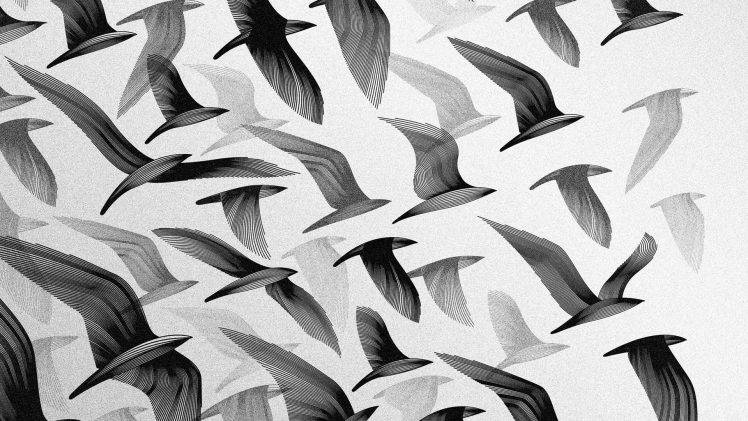 digital Art, Birds HD Wallpaper Desktop Background