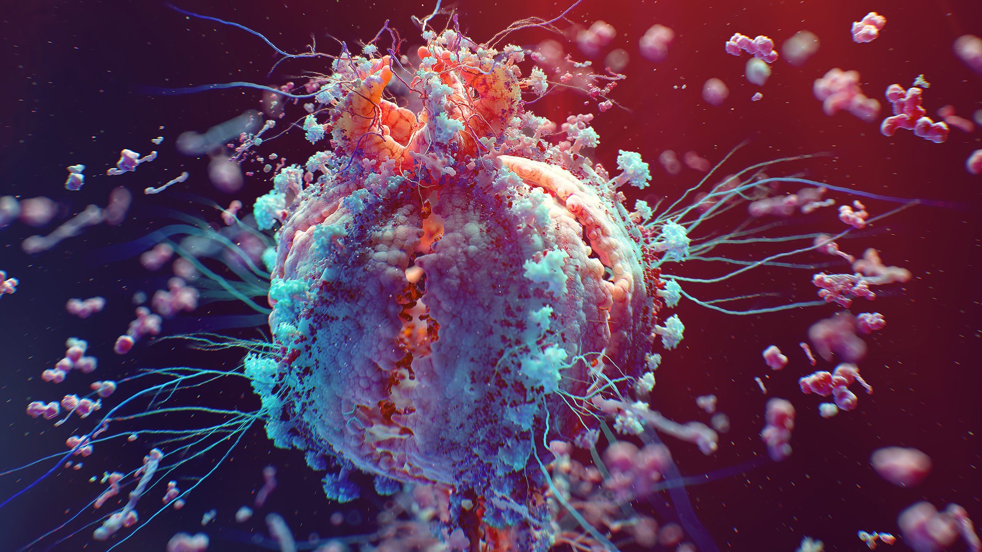 Cancer Cell Wallpaper