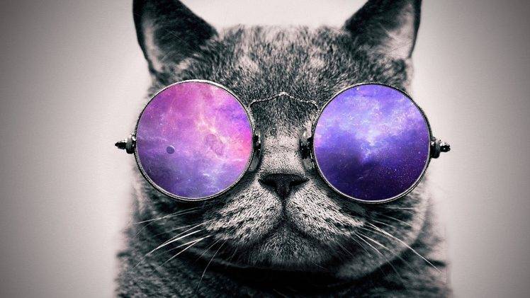 artwork, Digital Art, Cat, Glasses HD Wallpaper Desktop Background