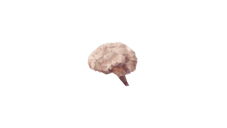 brain, Digital Art, White Background, Minimalism, Organs, Low Poly HD Wallpaper Desktop Background