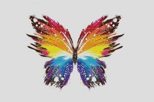 digital Art, Simple Background, Minimalism, Butterfly, Simple, Paint Splatter, Wings, Colorful, White Background