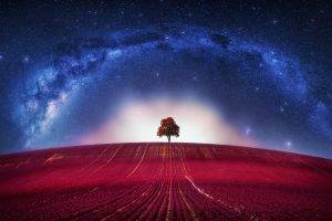 universe, Trees, Digital Art, Stars