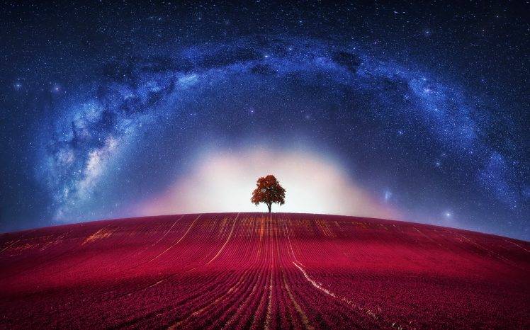 universe, Trees, Digital Art, Stars HD Wallpaper Desktop Background