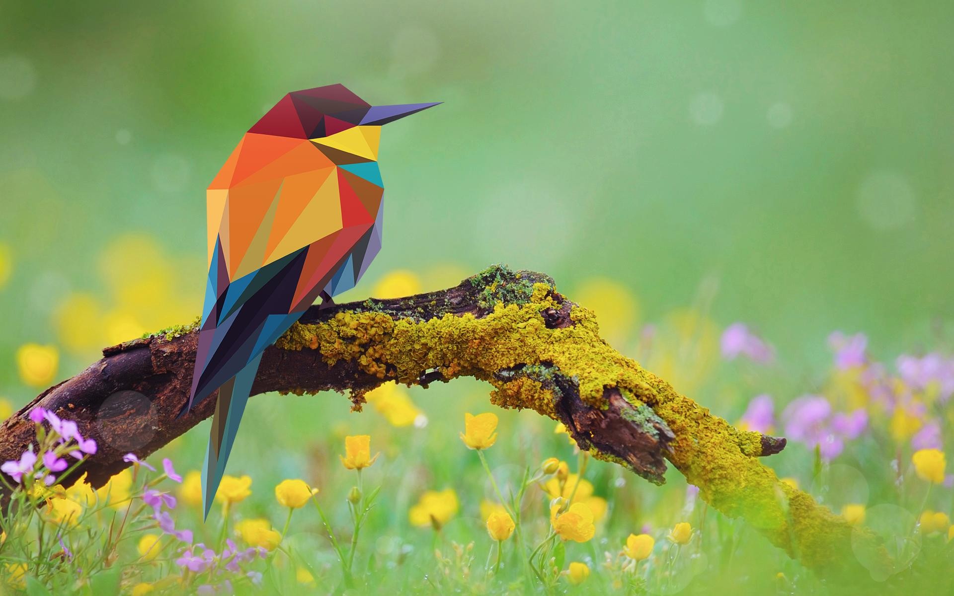 low Poly, Abstract, Birds Wallpaper