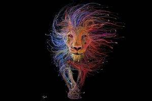 wires, Lion, Digital Art, Colorful, USB, Animals, Black Background, Ethernet