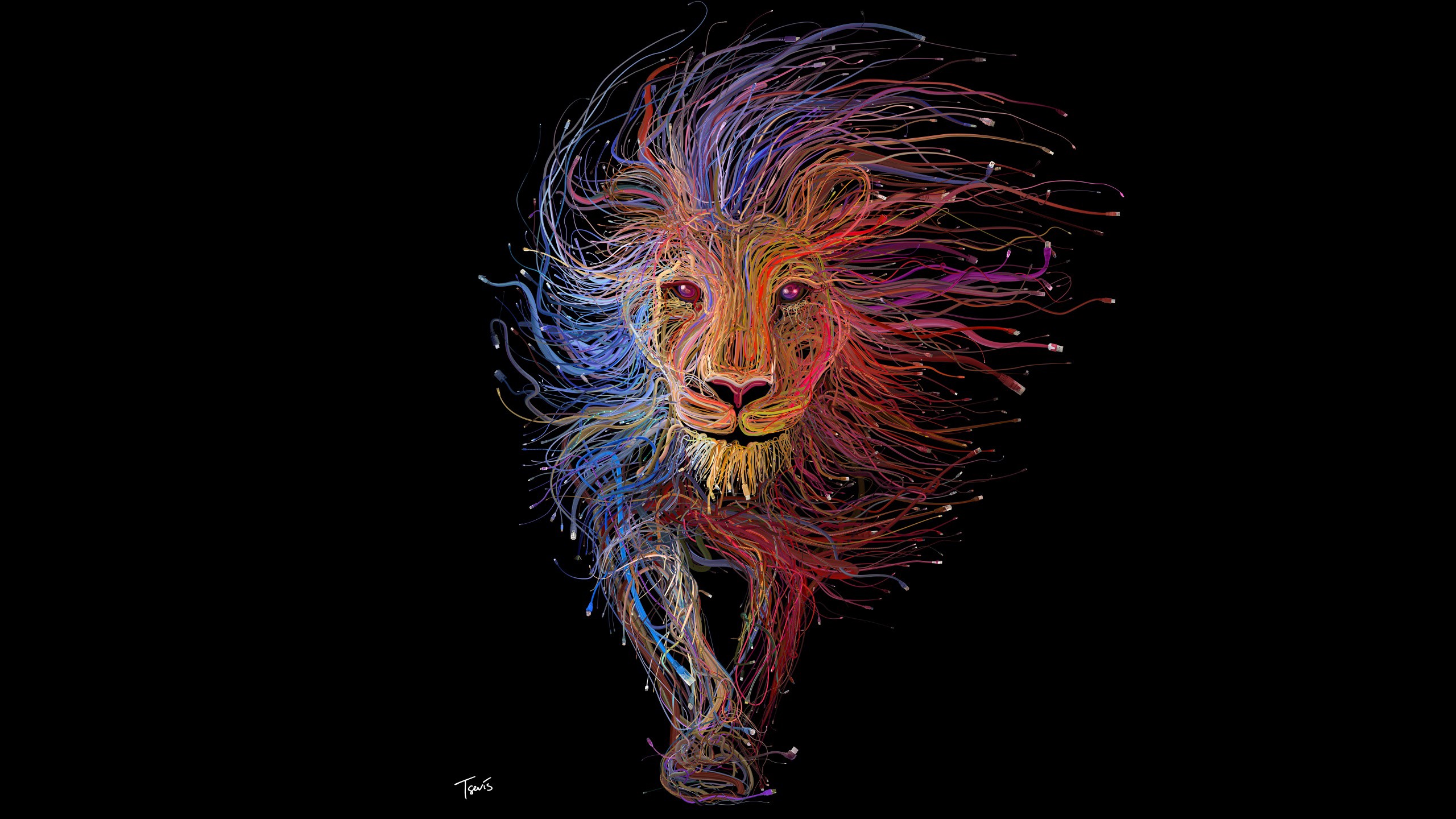 wires, Lion, Digital Art, Colorful, USB, Animals, Black Background, Ethernet Wallpaper