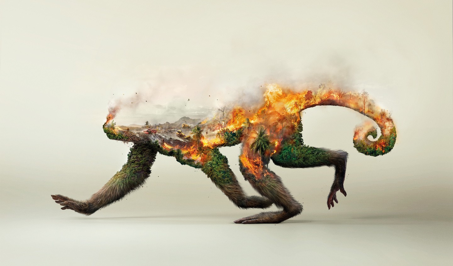 monkeys, Digital Art, Fire, Forest, Trees, Animals, Double Exposure, Smoke, Palm Trees, Environment, Destruction, Nature, Ecology, Artwork Wallpaper