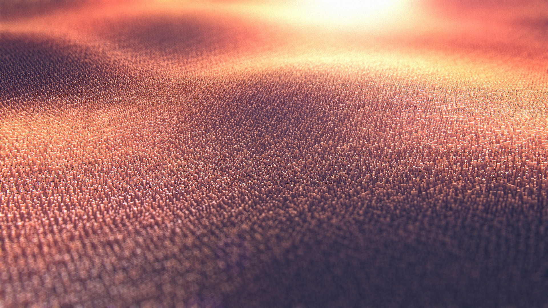 field, Abstract Wallpaper