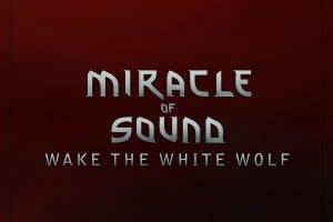 The Witcher 3: Wild Hunt, Miracle Of Sound