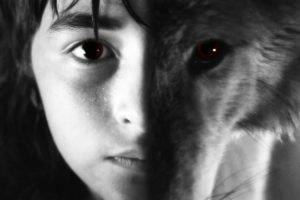 Game Of Thrones, Direwolves, Brandon Stark, Selective Coloring