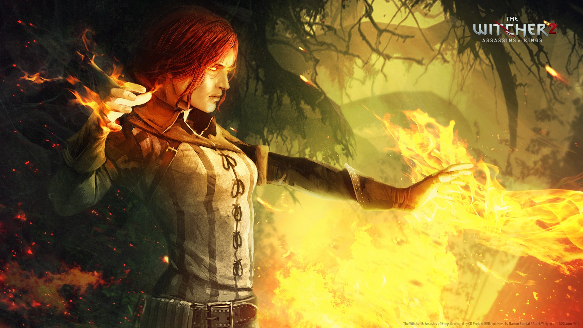 The Witcher 2 Assassins Of Kings Wallpaper