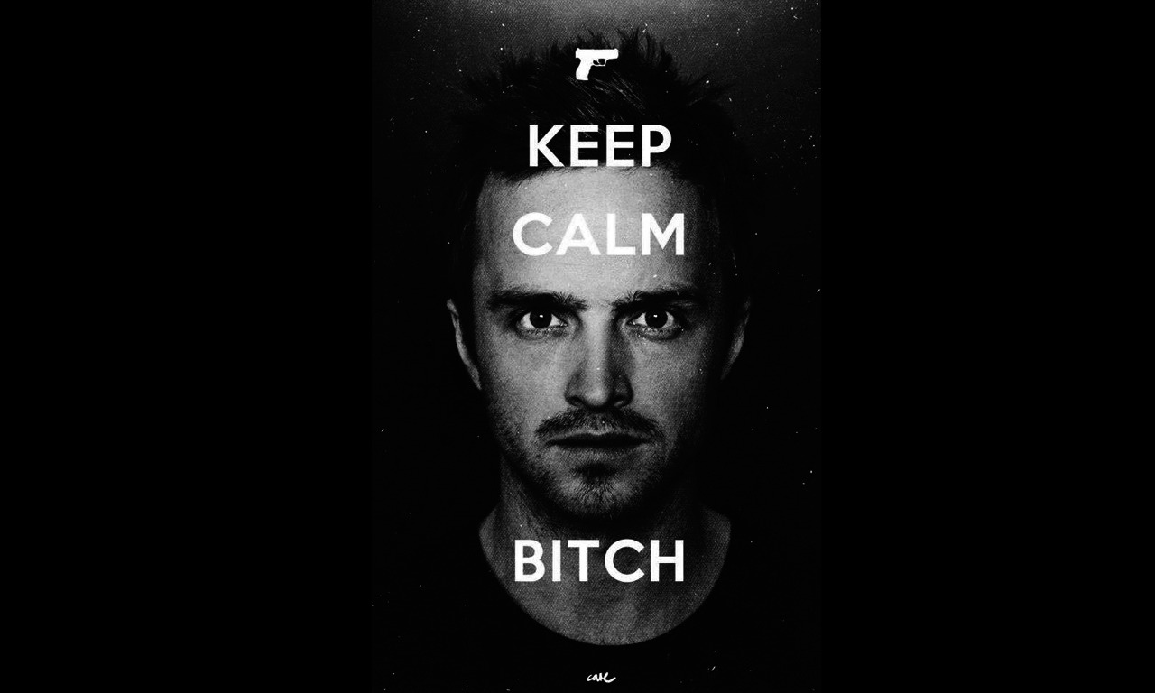 Breaking Bad, Jesse Pinkman, Monochrome, Aaron Paul, Bitch Wallpaper