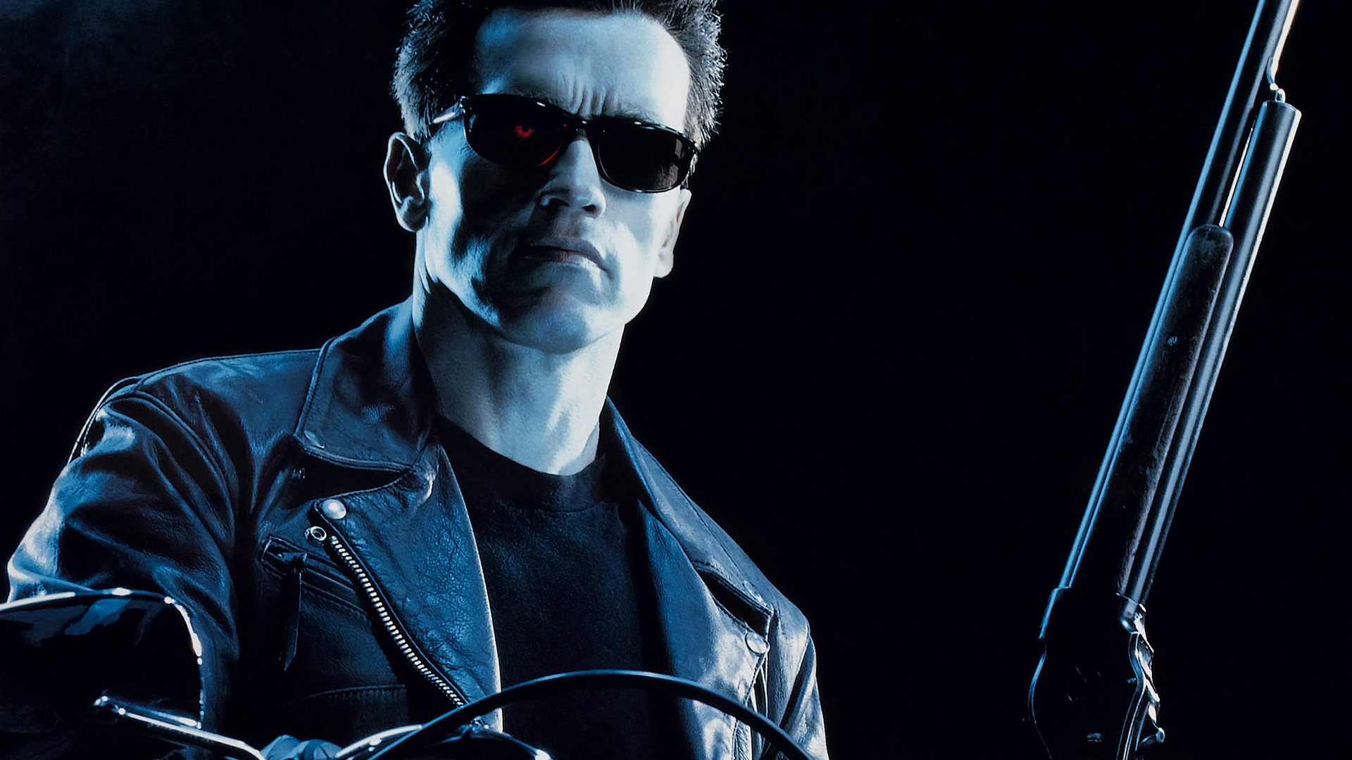 Terminator 2, Arnold Schwarzenegger Wallpaper