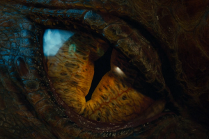 Smaug, The Hobbit, Dragon, Eyes