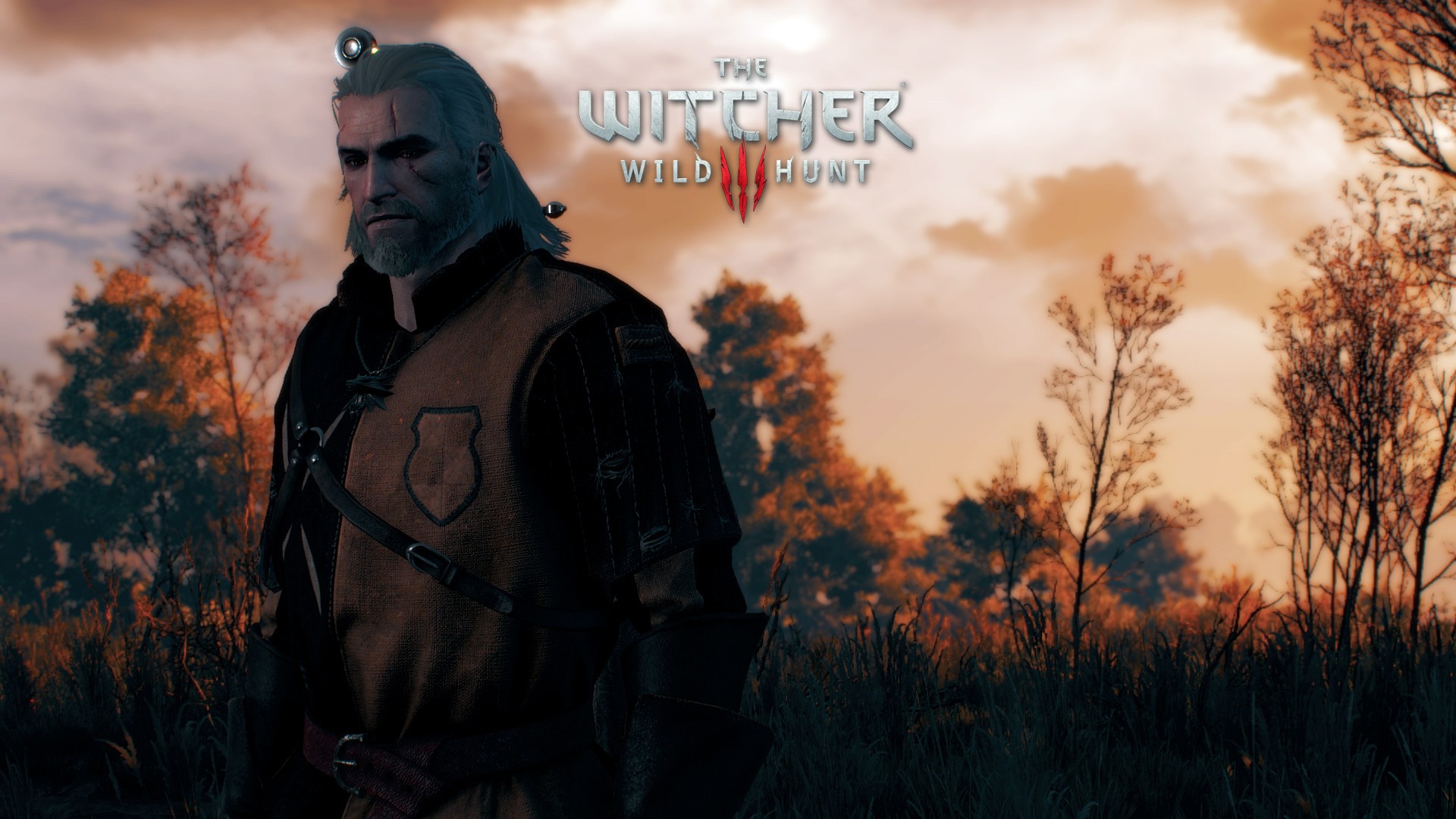 The Witcher 3: Wild Hunt Wallpapers HD / Desktop and ...