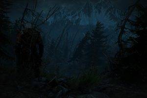 The Witcher 3: Wild Hunt, Skellige