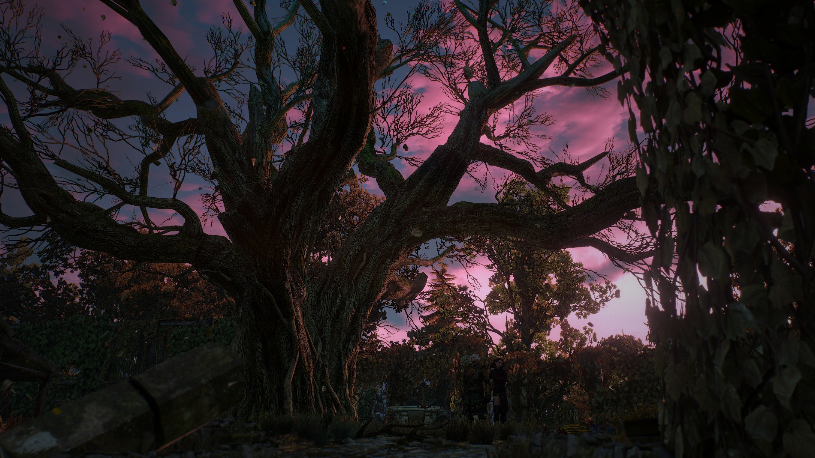 The Witcher 3: Wild Hunt, Geralt Of Rivia, Yennefer Of Vengerberg, Garden Wallpaper