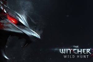 The Witcher 3: Wild Hunt, The Witcher