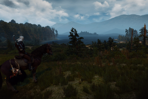 The Witcher 3: Wild Hunt, Video Games, The Witcher