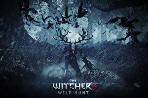 The Witcher, The Witcher 3: Wild Hunt